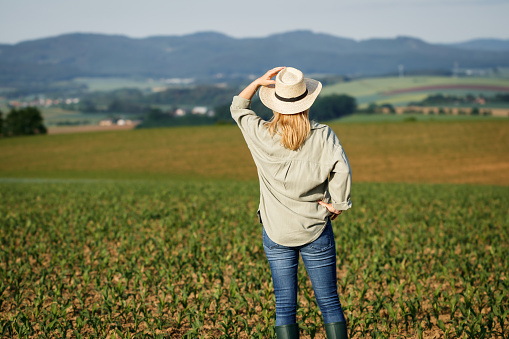Woman with straw hat standing in agricultural field. Satisfied female farmer is looking at corn field in cultivated land