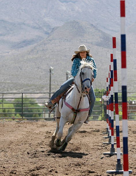 Galería de Rodeo deporte Chica montando a caballo blanco polos torsión - foto de stock
