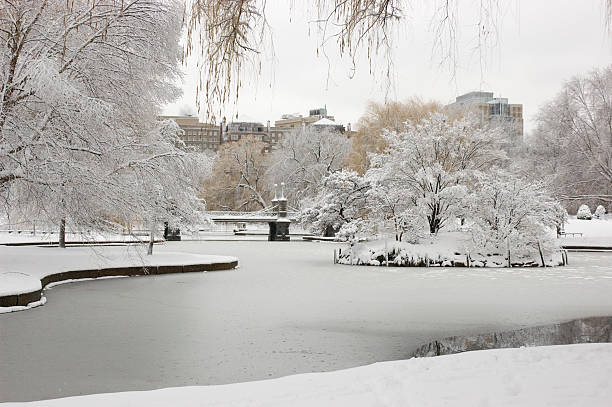 jardín público de boston invierno - boston common fotografías e imágenes de stock