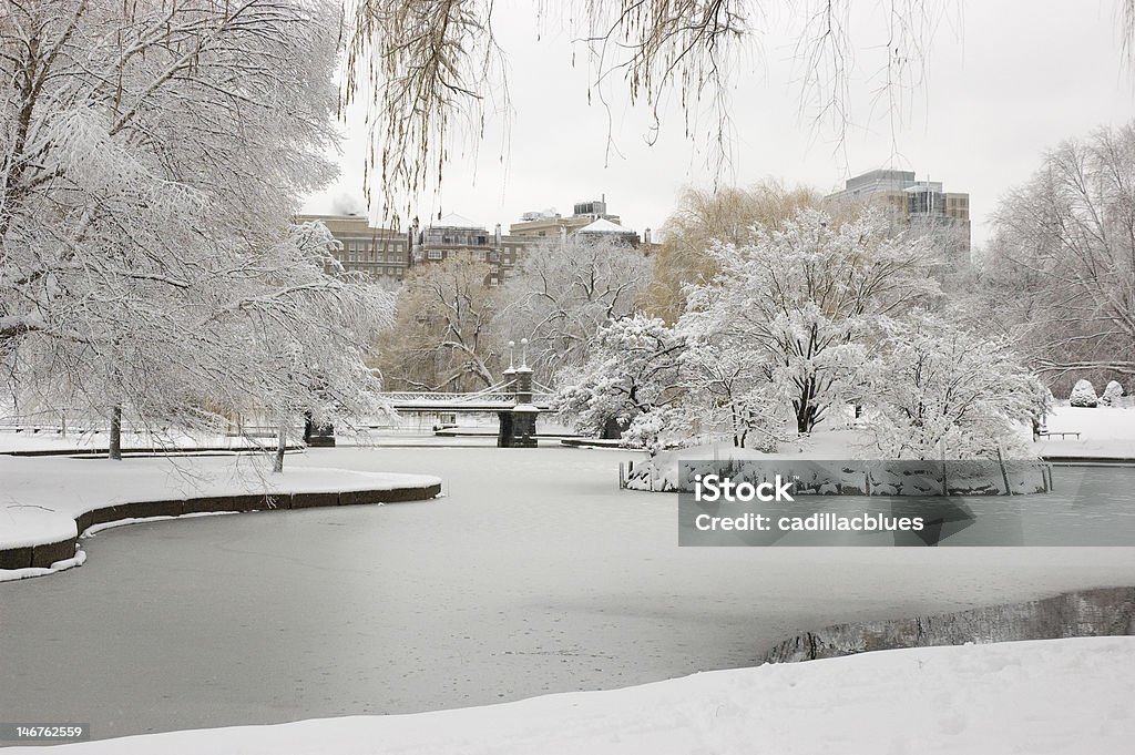 Boston Public Garden inverno - Foto stock royalty-free di Inverno