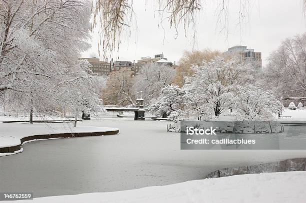 Boston Public Garden Inverno - Fotografie stock e altre immagini di Inverno - Inverno, Boston - Massachusetts, Boston Public Garden