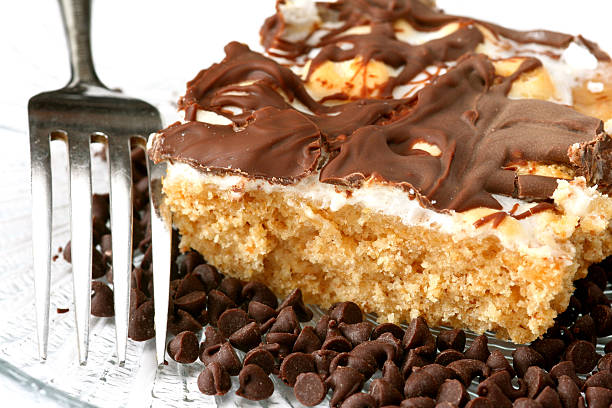 Smores Snack Cake