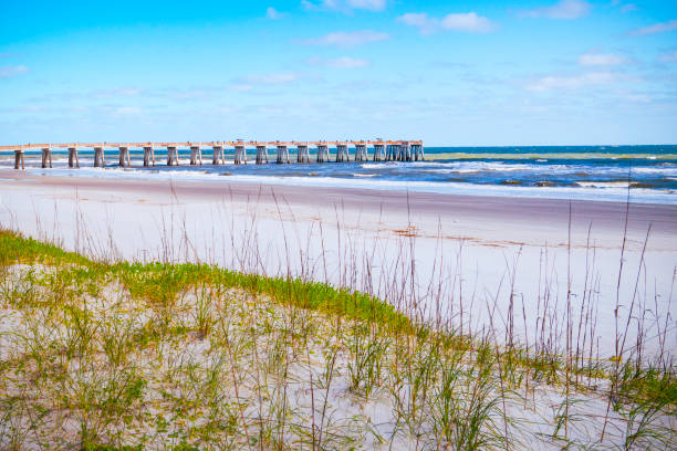 Seascape over the grassy sand dune and seagulls near JAX Fishing Pier in Jacksonville, North Florida stock photo