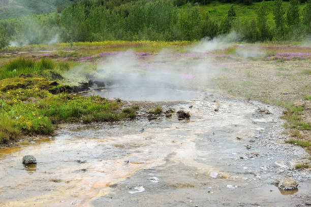 istock Iceland Laugafell Geyser Steam 1467631234