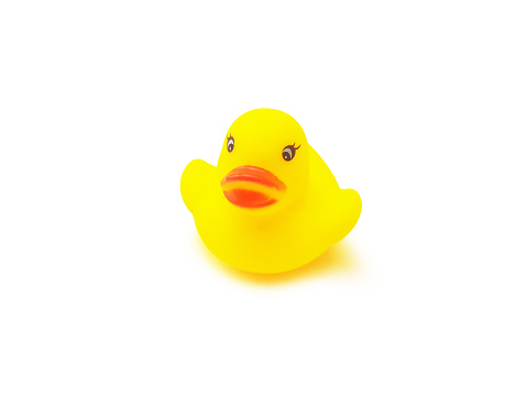 A yellow rubber duck toy that floats and can makes sounds, isolated on a white background