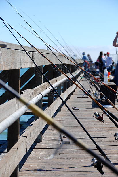 istock Fishing off the Pier. 146763592