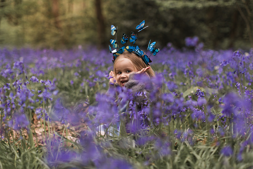 Child with bluebells. Little girl in pretty dress playing in beautiful spring forest with purple bluebell flowers. Kids hiking in park with blue bell flower meadow. Preschooler exploring nature