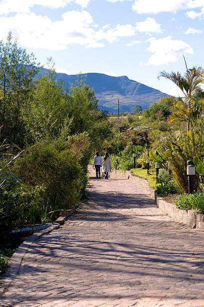 Brick walkway through a garden stock photo