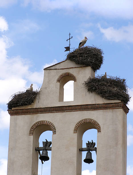 istock stork in church roof 146764583