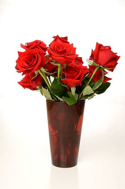 istock red roses in vase against white background 146764658