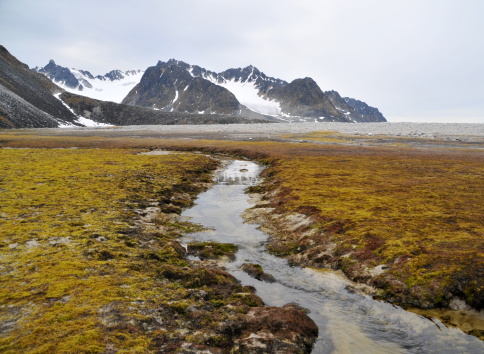Meltwater stream in Magdalenefjord, Spitsbergen (Gravneset)