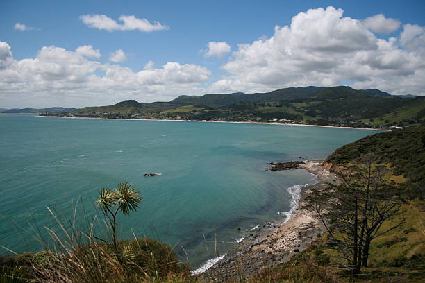 istock Beautiful New Zealand Coast 146765075