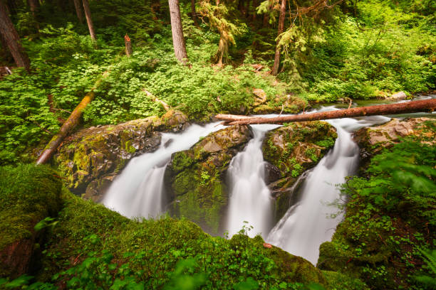 istock Sol Duc Falls in Olympic National Park, Washington 1467658202