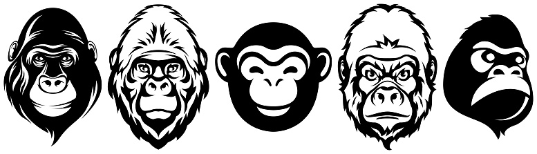 Hand drawn face of monkey. Gorilla illustration mascot art set.