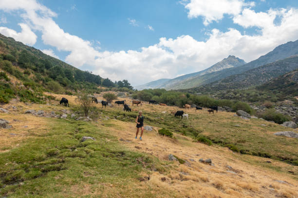 Woman running through the mountains