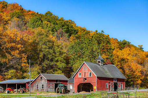 A group of farm buildings in the Millbrook area of the Hudson Valley, NY during peak fall season.