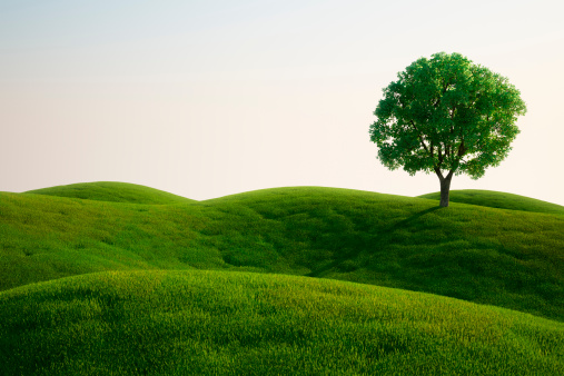 3d rendering of a green field with an elm tree