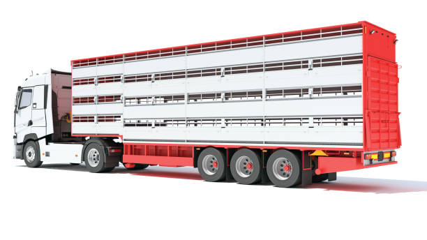 istock Truck with Cattle Animal Transporter Trailer 3D rendering on white background 1467660487