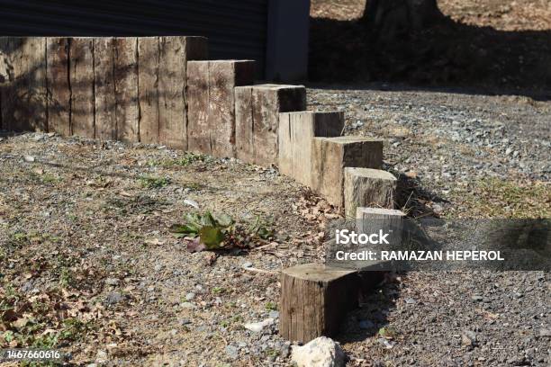 Tiny Wooden Staircase With Woodgrain Steps Made Of Logs In The Forest Stock Photo - Download Image Now