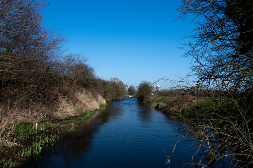 The river Gade running through Croxley Moor, with bridge crossing the water