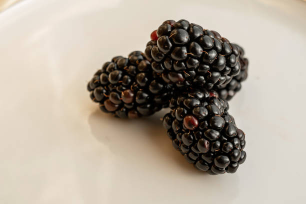 Blackberry berries and the reflection of light in a dish with a golden border. Light pattern on the plate