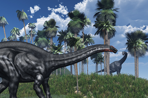3D rendered prehistoric landscape featuring an apatosaurus dinosaur in the foreground, and a brachiosaurus at a distance.