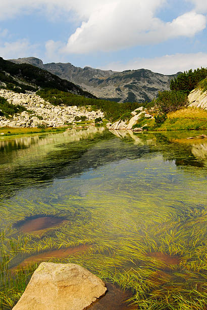 Lake in Pirin, Bulgaria stock photo