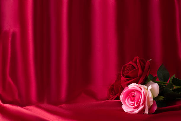 Lots of copy space of red and pink roses on a red velvet background for Valentines day or Mother's day