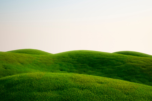 A field full of green grass and hills