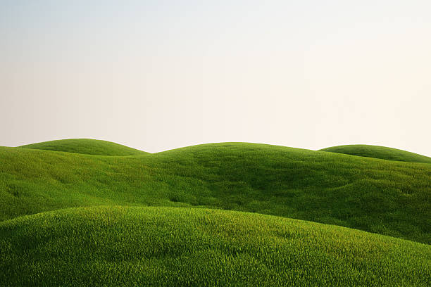 A field full of green grass and hills 3d rendering of a green field grass field stock pictures, royalty-free photos & images