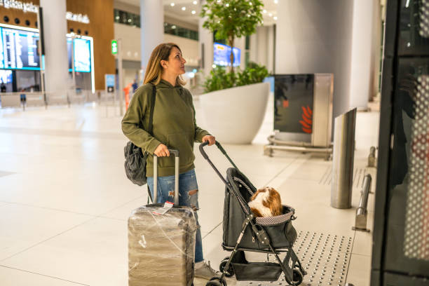 istock Woman waiting for elevator at airport with her dog 1467670071