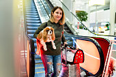 Image of woman on airport escalators with her dog