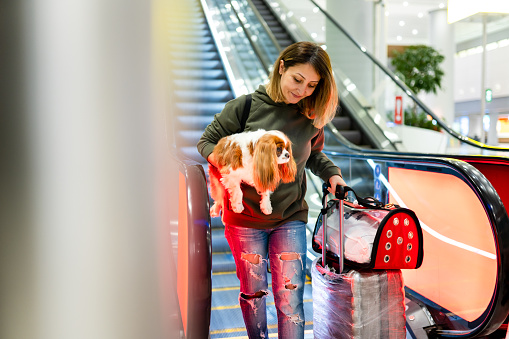 Image of woman on airport escalators with her dog