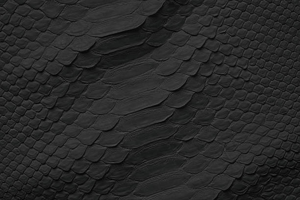 Pattern Ular 1.800+ Lizard Pattern Foto Stok, Potret, & Gambar Bebas Royalti - iStock