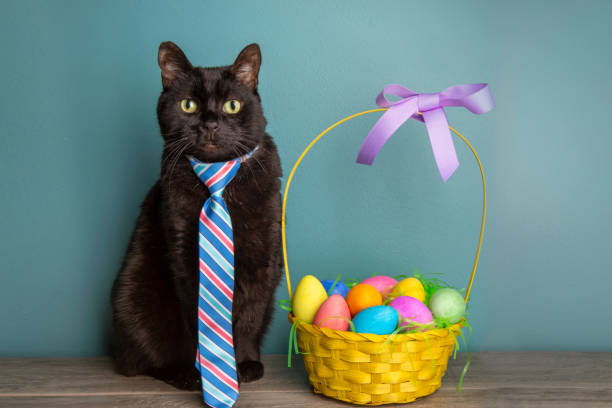 An adorable portrait of a black cat wearing a tie and sitting next to a basket of Easter eggs.