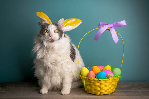 istock Funny Cat in Bunny Ears With Easter Basket 1467676691