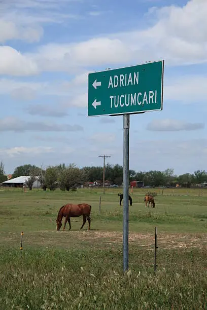 Horses graze in Texas, near two famous Rt. 66 towns