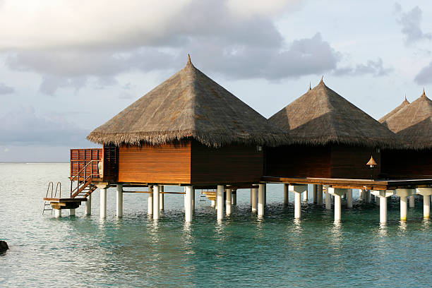 istock Tropical Bungalow In Dawn 146767759