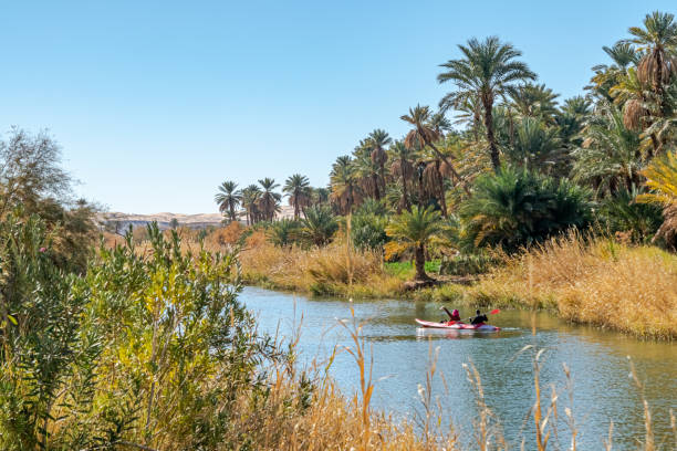 istock Kayaking in Kerrouche stretch of water in Bechar. 1467682335
