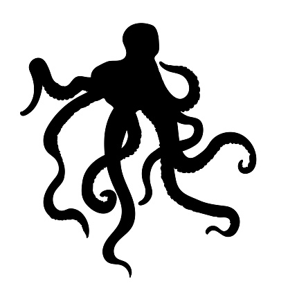 Octopus silhouette  on a transparent background (you can place this over any color background)