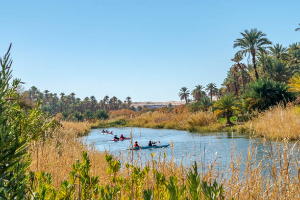 Kayaking in Kerrouche stretch of water in Bechar.