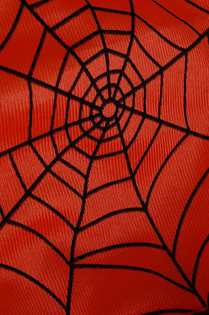 Spider's Web stock photo