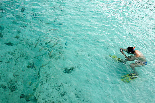 istock Snorkeling Photographer 146768377