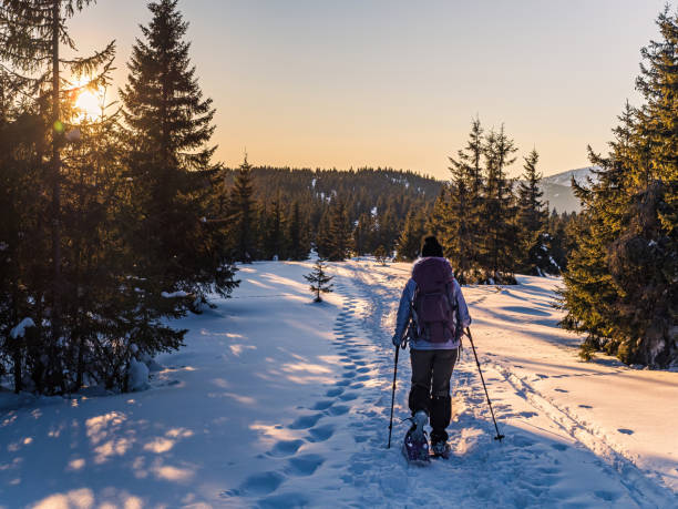 молодая женщина на снегоступах в походе в закатном лесу - tatra mountains healthy lifestyle leisure activity mountain стоковые фото и изображения