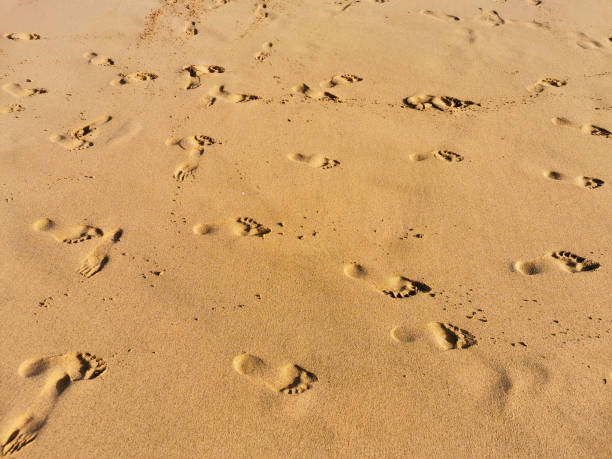 istock Two Footprints in the sand on Cofete beach, Spain 1467685088