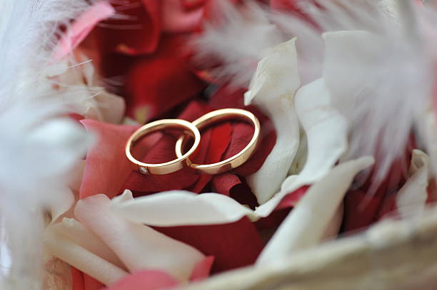 istock roses petals and rings 146768532