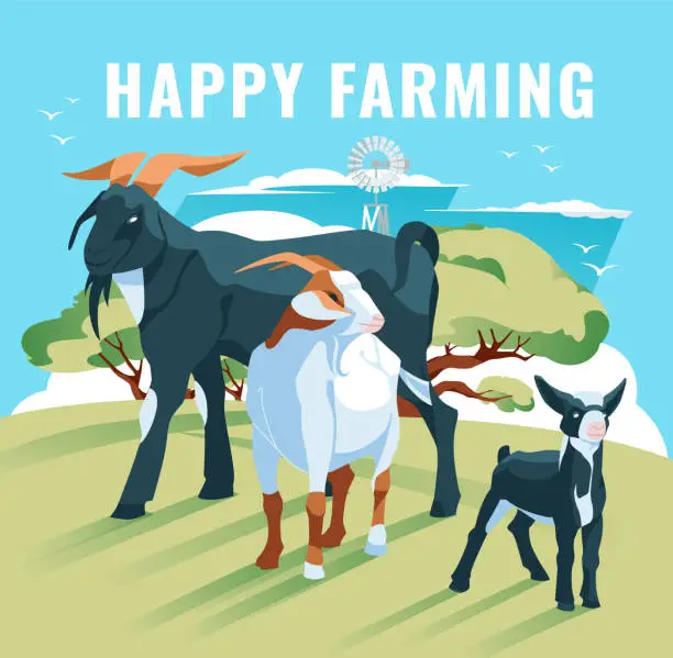 Vector illustration of goat family on a green meadow against a farm house. Vector flat illustration. Agriculture, animal husbandry and agriculture.