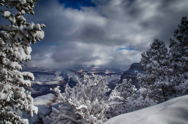 Think snow at the Grand Canyon in the winter
