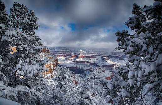 A winter view of the Grand Canyon in the snow