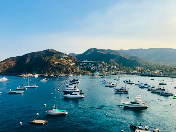 istock Boats in Harbor 1467688682